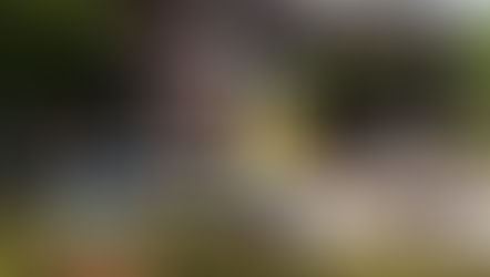 Hogeweyk: la villa para adultos mayores con demencia