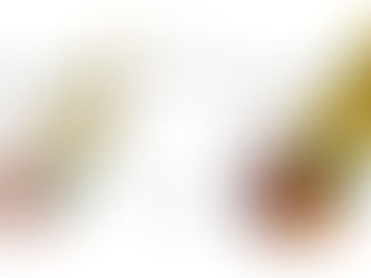 Se descubre la secretina