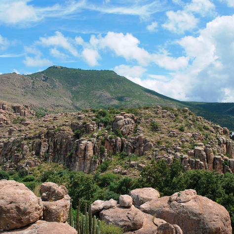 Arroyo Seco, archivo visual de México con más de siete mil años