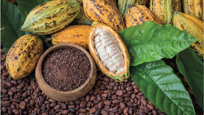 Día Internacional del Chocolate