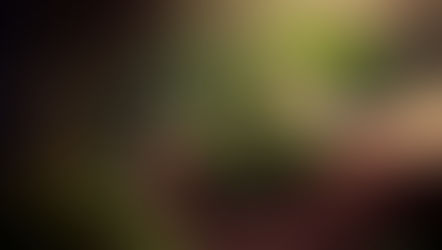 Aniversario del Banco Mundial por la Biodiversidad de Kunming-Montreal