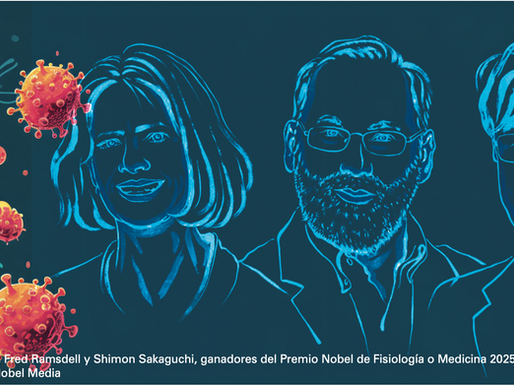 Premio Nobel de Medicina 2025 por el descubrimiento de las células T reguladoras