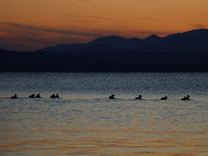 Chasing Sun Sets