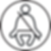 Seatbelt Logo