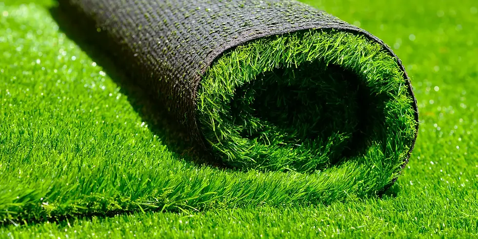 synthetic-lawn-2048px-802551536-2x1-1.webp