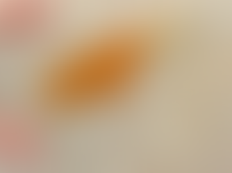 How Do You Calculate Carpet Cleaning Cost? A Complete Guide for Winnipeg Homeowners