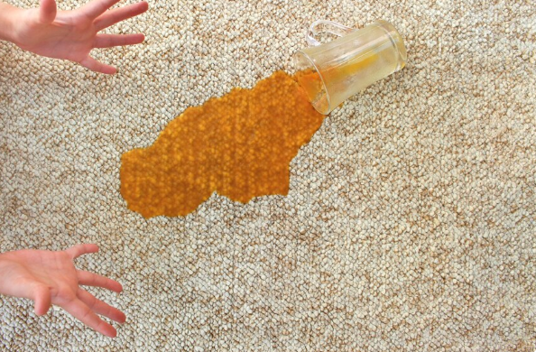 How Do You Calculate Carpet Cleaning Cost? A Complete Guide for Winnipeg Homeowners