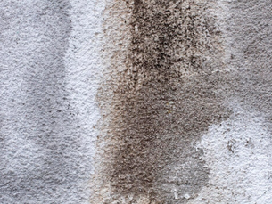 How Carpet Cleaning Improves Indoor Air Quality in Winnipeg Homes