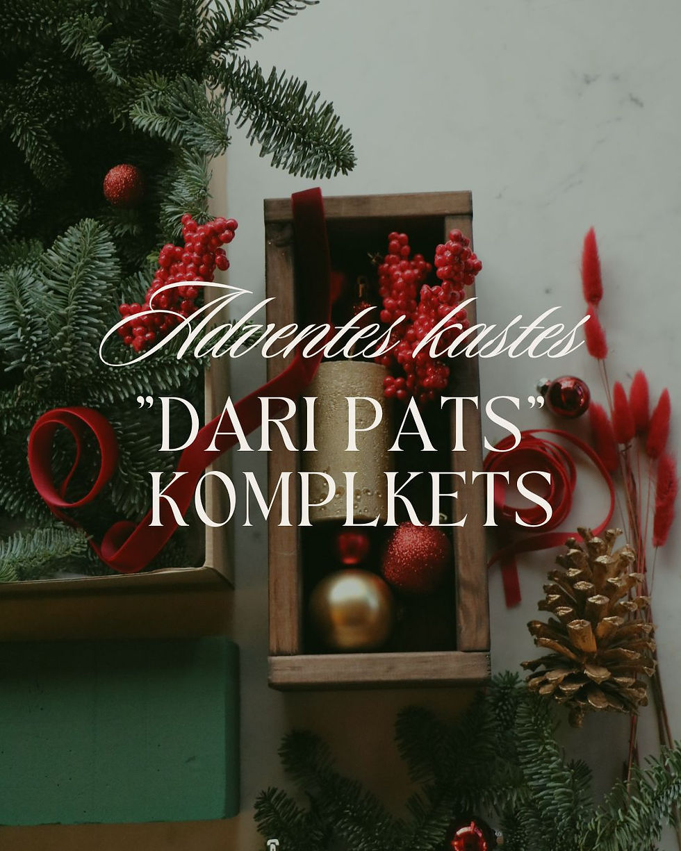 "DARI PATS" ADVENTES DEKORS KASTĒ