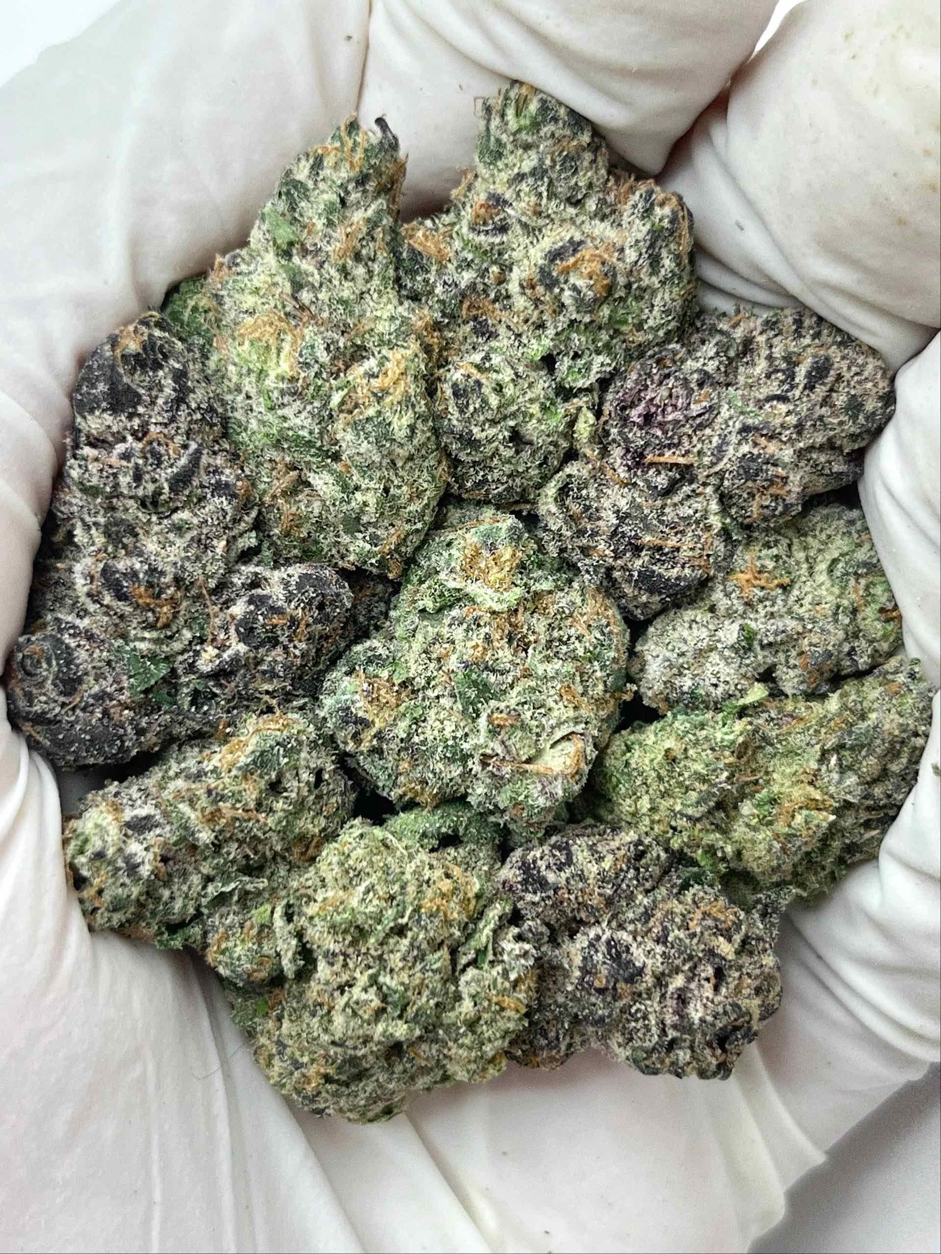 Dante's Inferno Indoor