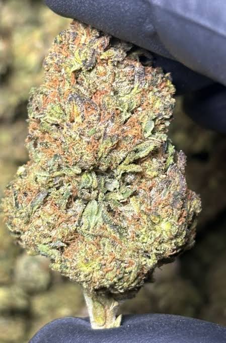NYC Diesel