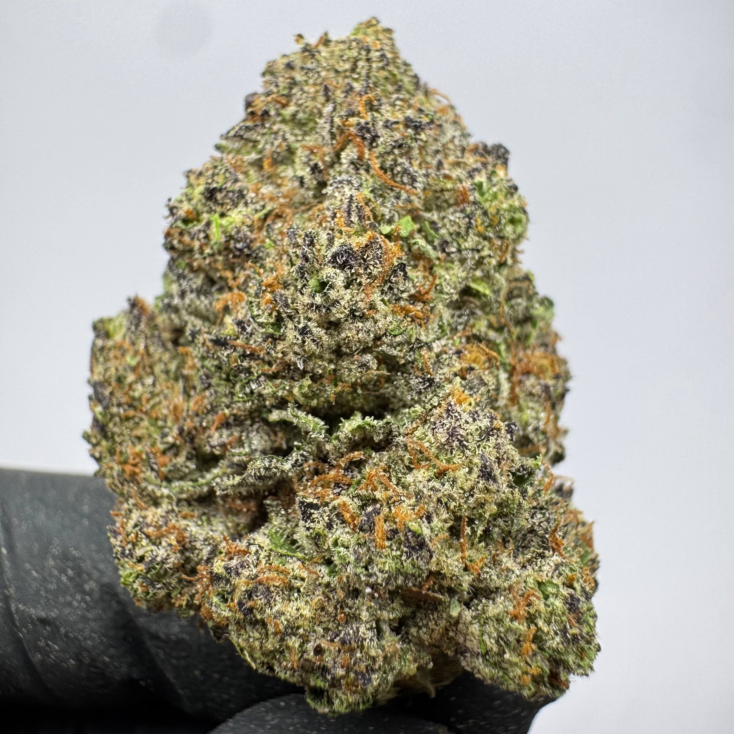 Gary Payton (Exotic)