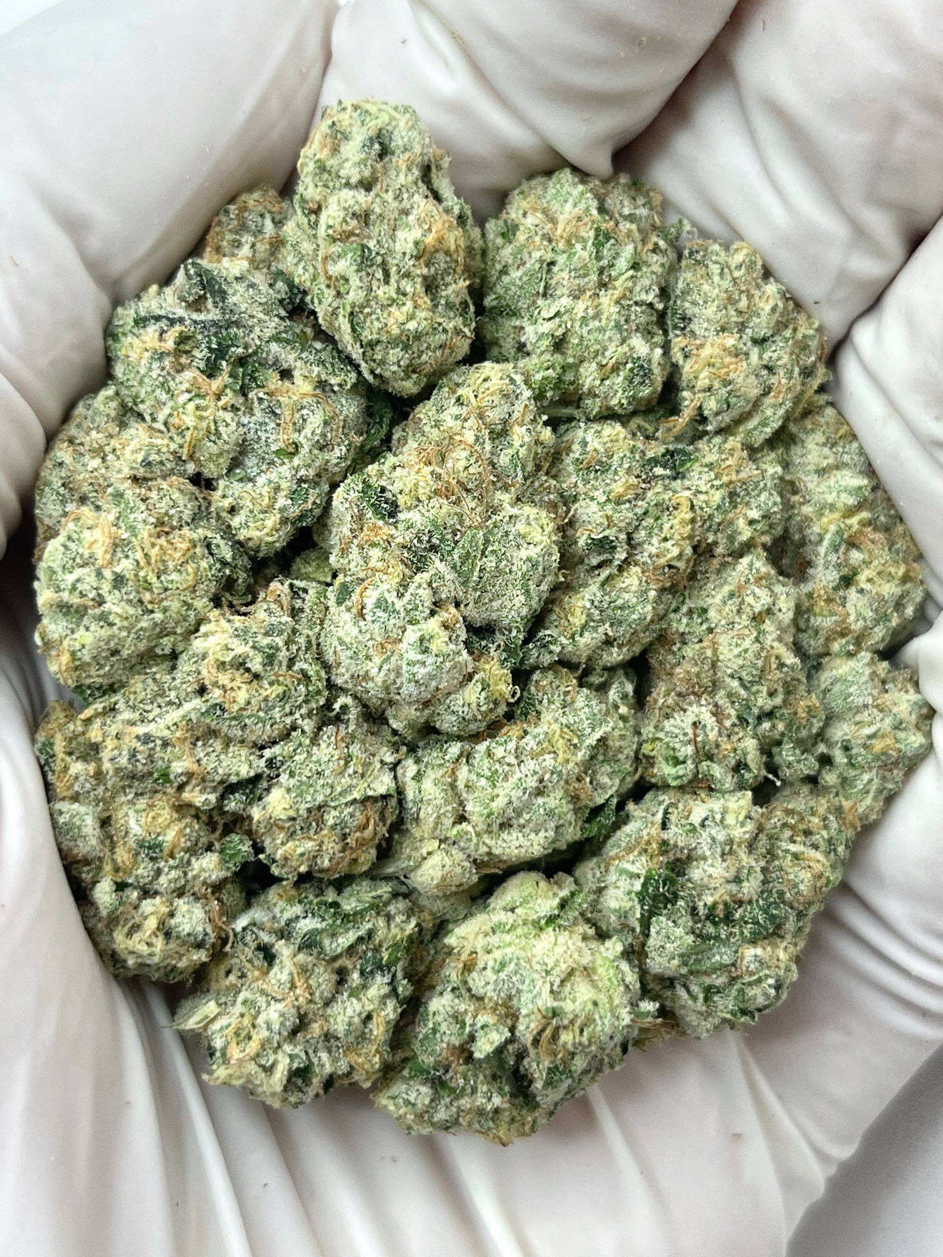 Strawberry Guava Indoor