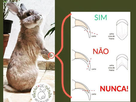 Cuidados com unhas