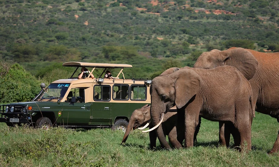 Ol Jogi Private Game Drive