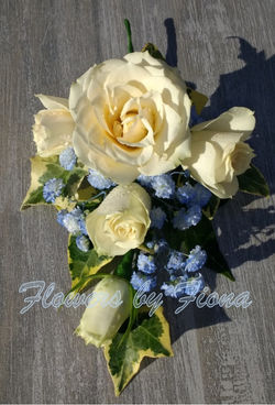 Corsage Blue & Cream