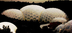 12140719_417177871811432_5487207630634835845_n