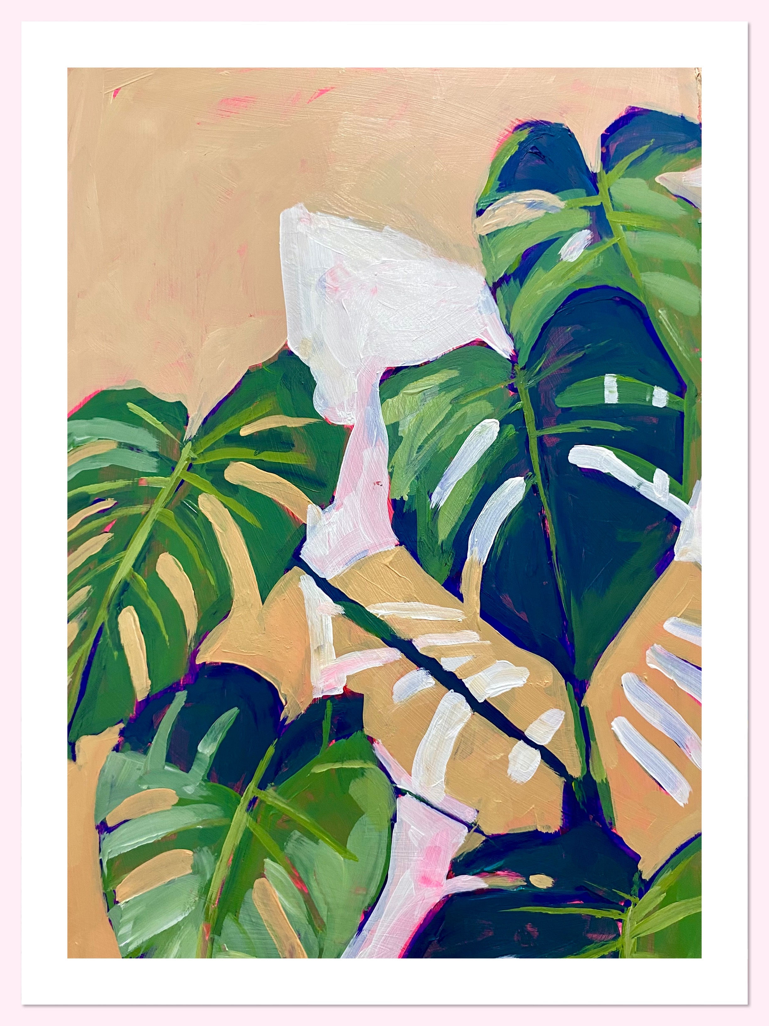 Cheese Plant Study
