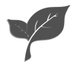 NEW%252520LEAF%252520-%252520black%25252