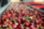 Cherries