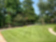 fraiser front lawn.jpg