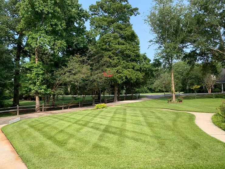 fraiser front lawn.jpg
