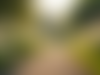 Achieve Emotional Balance by Following Joyful Living Strategies