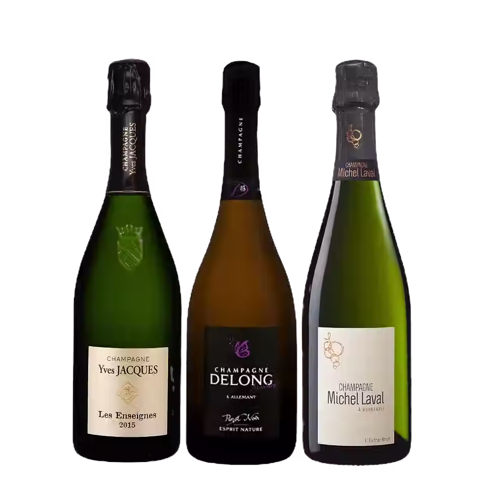 Display of the Artisan Champagne Set (3 bottles) by The Champagne Fox