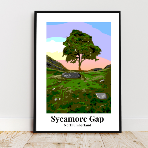 Sycamore Gap Art Print
