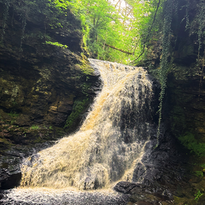 Hareshaw Linn: Waterfall Walk Northumberland