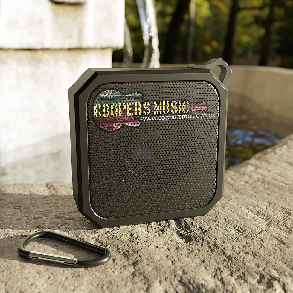 Thumbnail: Blackwater Outdoor Bluetooth Speaker