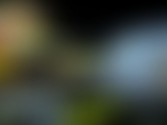 Llega a Chile nuevo embarque de vacunas Pfizer-BioNTech contra SARS-CoV-2