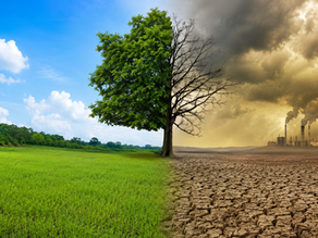 Climate Change