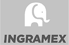 INGRAMEX_edited.png