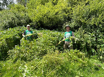 Force4Nature Volunteers.JPG