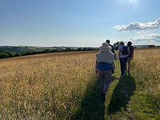 Brimridge 23 18.JPG
