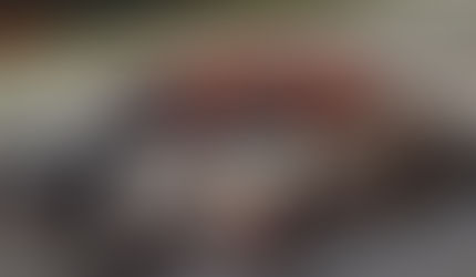 2017 SSS CHAMPION CHARGES TO BRISTOL VICTORY LANE