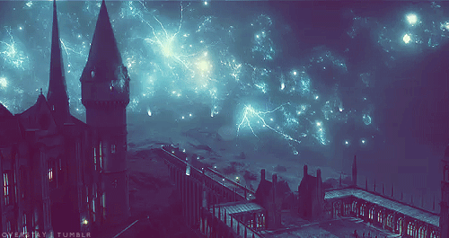 large (1).gif