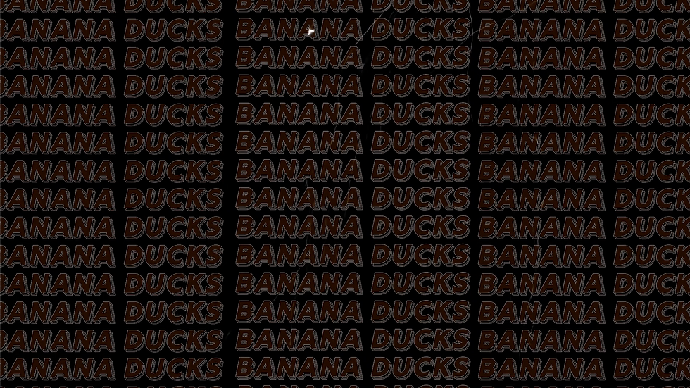 BDBCK2.png