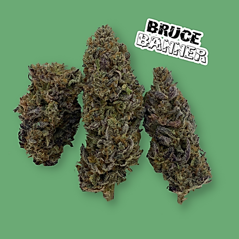 Bruce Banner COA