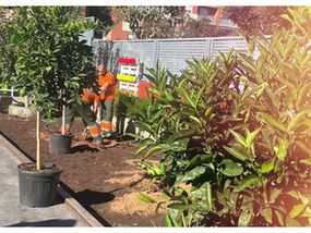 La solidaridad de FORVIA llega a nuestro centro.