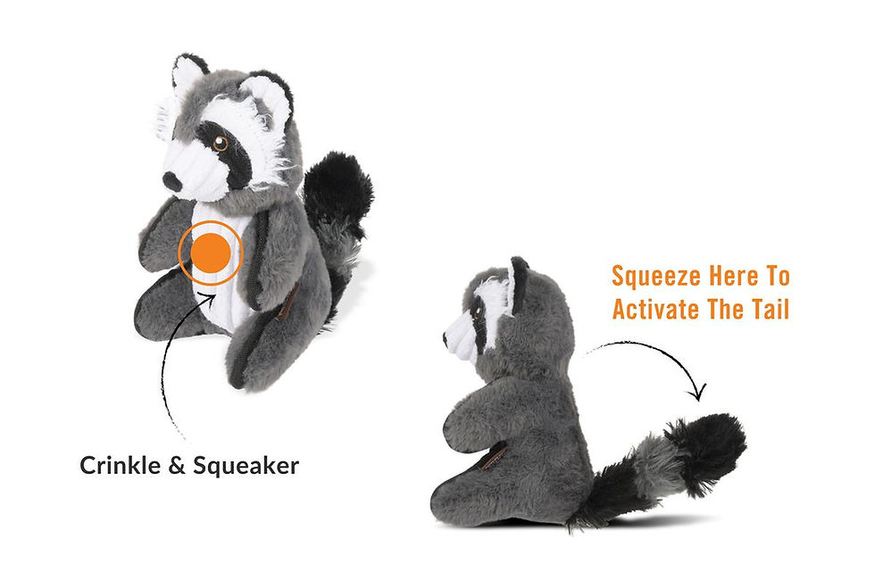 Miniatyrbilde: Robby the Raccoon