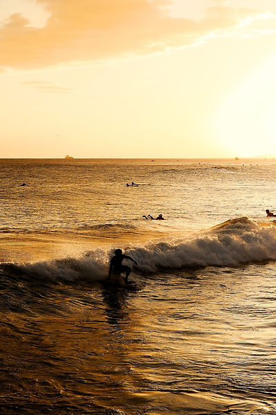 Surfeur de Hawaï (US).jpeg
