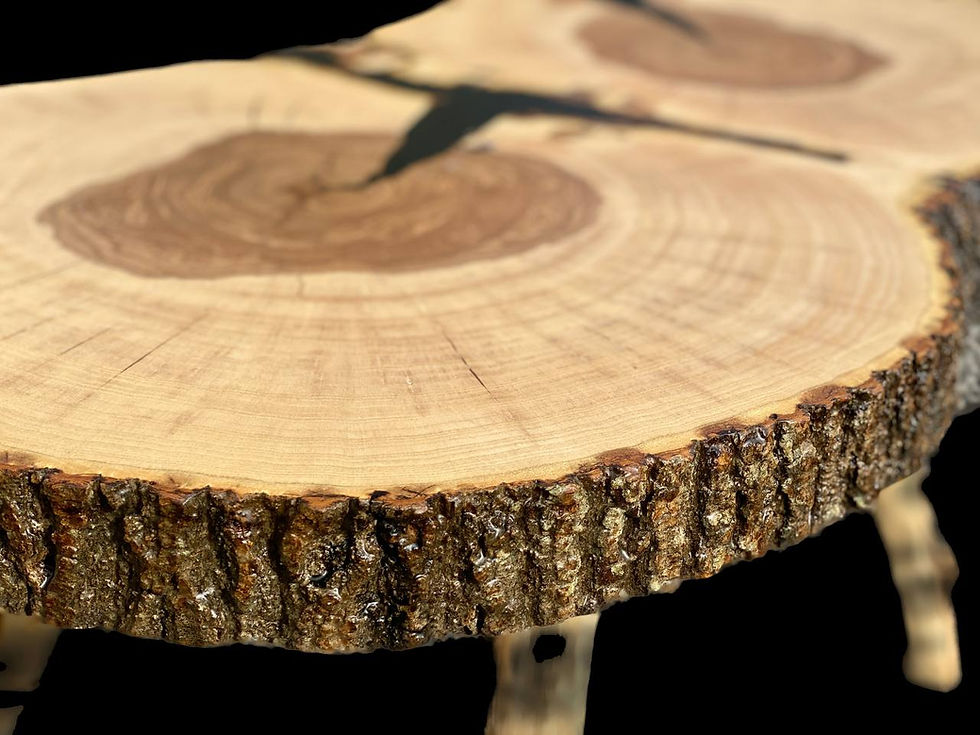 Miniaturbild: Couchtisch – Baumscheibe aus Kerneschenzwilling