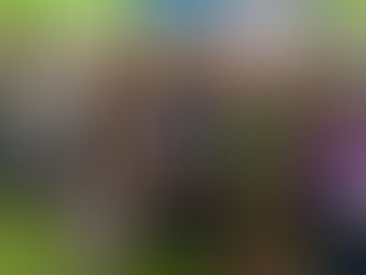 Junior SAARC Summit 2023 conducted