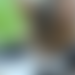 Ajout d'EMA dans l'eau de boisson