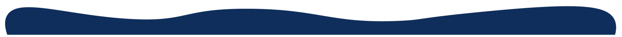 squiggle divider-01 (1).png