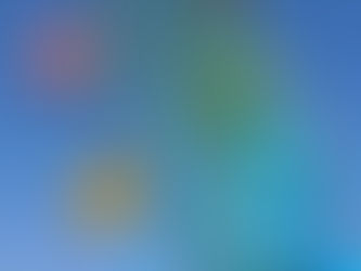 11月　ご案内