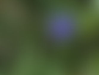 10月のお知らせ