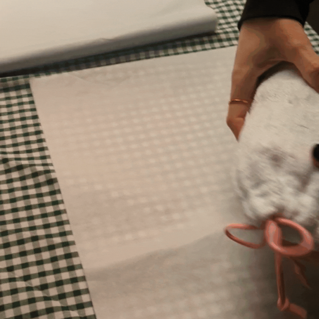 Sustainable, recycled, organic packaging